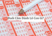 duoi cam danh lo con gi