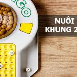 L&ocirc; k&eacute;p nu&ocirc;i khung 2 ng&agrave;y