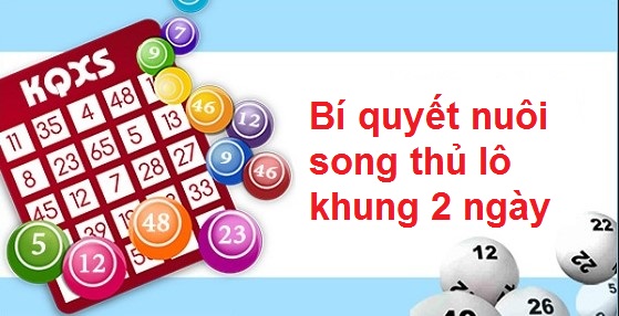b&iacute; k&iacute;p nu&ocirc;i song thủ l&ocirc; khung 2 ng&agrave;y
