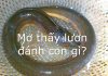 mơ thấy lươn đ&aacute;nh con g&igrave;